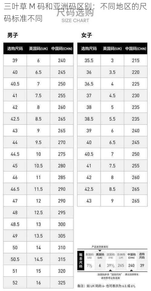 三叶草 M 码和亚洲码区别：不同地区的尺码标准不同