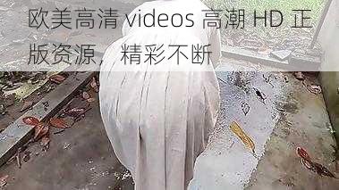 欧美高清 videos 高潮 HD 正版资源，精彩不断